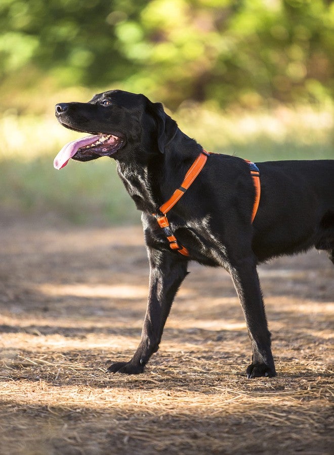 Rogz Reflective Adjustable Dog H Harness for Extra Large Dogs; matching collar and leash available, Red - Image 4